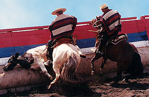 En Villa Alemana  Un nuevo espacio para el rodeo y las        tradiciones chilenas a disposición de la comunidad