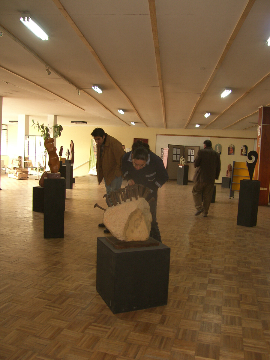 En Villa Alemana Se presenta exposición de arte “Re – encuentro con el Alma”