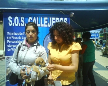 Evento solidario en Villa Alemana.
