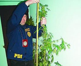Tata toño es detenido en Villa Alemana.