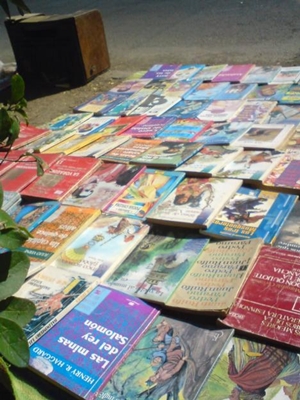 PDI de Limache detiene a vendedor de libros piratas.