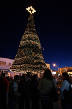 José Sabat  inaugura árbol de navidad en el Parque Cívico Belén.