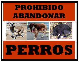 Quilpué prepara ordenanza sobre tenencia animal.