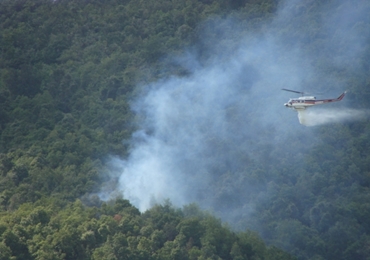 Brigadas de Conaf logran controlar incendio forestal en Olmué.