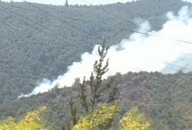 Obrero en prisión preventiva por incendiar bosque en Olmué.