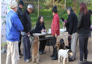 Servicios municipales atenderán en terreno en El Sol.