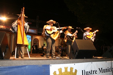 Limache Vive el Folklore.