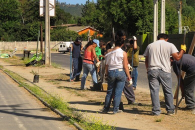 Avanza Plan de Arborización   en sectores y calles de Quilpué.