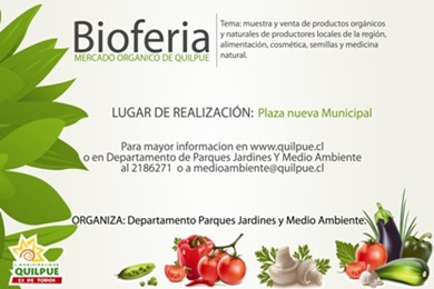 Hogar de Cristo convoca a dobles para lanzamiento de campaña de voluntariado.