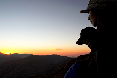 Concurso fotográfico “Mi Mascota y Yo” ya tiene ganadores.