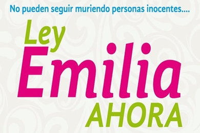 Diputado Schilling (PS) llama al Senado a acelerar aprobación de “Ley Emilia”, ante proximidad de Fiestas Patrias.