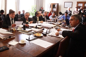 Comisión de Salud continuó analizando en particular proyecto que regula la tenencia responsable de mascotas.