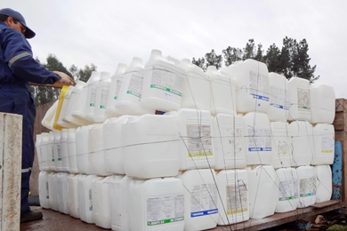 Más de 11 mil kilos de envases vacíos de plaguicidas recolectados en primer semestre 2013.