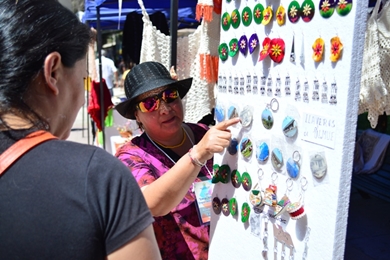 Exitosa Feria de Emprendedores se realizó en Olmué.