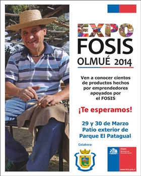 En Olmué se desarrollará una nueva EXPO FOSIS.