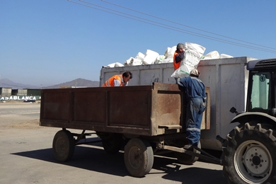 En Casablanca recolectan casi 2 toneladas de envases vacíos de plaguicidas.