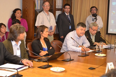 Alcalde y diputados solicitarán detención de   proyecto “Torres de Alta Tensión”.
