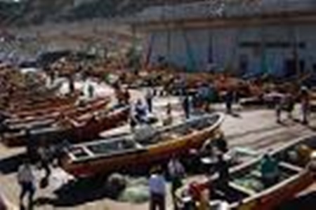 Arte de pesca exclusiva para la jibia ingresará mañana a la tabla de la Comisión Pesca de la Cámara de Diputados.