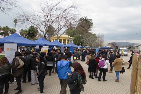 Empresas de la zona presentaron ofertas de  trabajo en feria laboral organizada por   Gobernación de Quillota,  municipios y Sence.