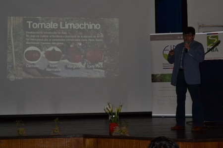08 10 2015tomateslimachinos005