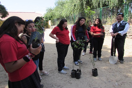 Gobernación y estudiantes plantan árboles en   la provincia.