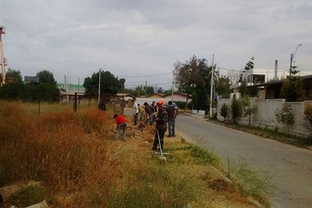 Cuadrillas de estudiantes comenzaron trabajos de   desmalezados en Quilpué y Belloto.