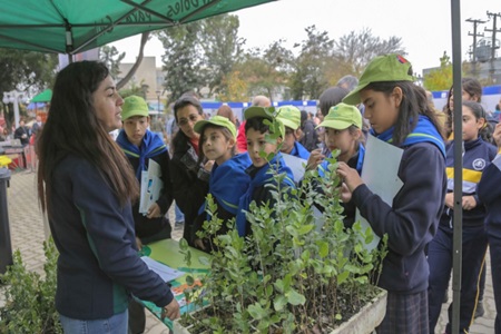Importante convocatoria generó “VI Feria de Prácticas Sustentables” en plaza Eugenio Rengifo.