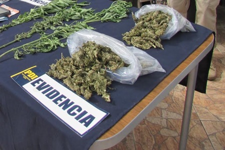 Ciudadano español vendía drogas en las  inmediaciones de colegios en Quillota.