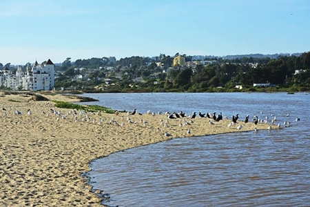Vaciamiento de los humedales San Jerónimo y El Membrillo en Algarrobo.