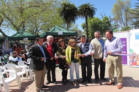 Hasta el domingo se realizará la 1° feria de  emprendedoras de la provincia de Quillota.