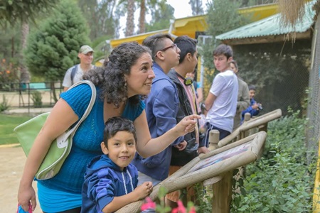 Este verano vuelve atractiva promoción para quienes visiten el Parque Zoológico de Quilpué.