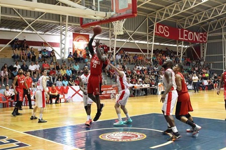 Los Leones reciben a Tinguiririca en las semifinales de la liga nacional de básquetbol.