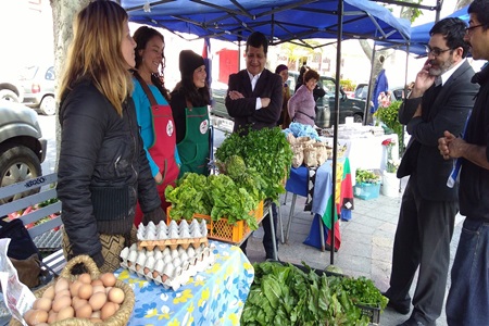 Autoridades visitan feria agroecológica Mercado Verde de Productores La Calera.