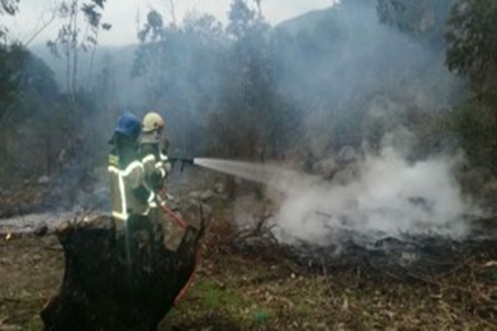 Alerta Roja en Olmué por incendio forestal.