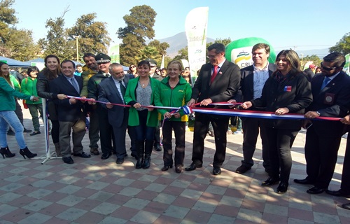Con una gran participación de público se realizó primera jornada de Gobierno en Terreno en la comuna de La Cruz.