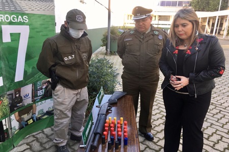 Carabineros descubre marihuana avaluada en 146 millones de pesos en vivienda de sector rural de Quilpué.