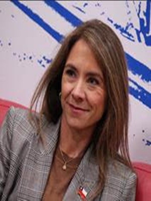 Ministra de Energía llama a ex ministro Pacheco a “no lavarse las manos” y defiende incentivos para recambio de medidores.
