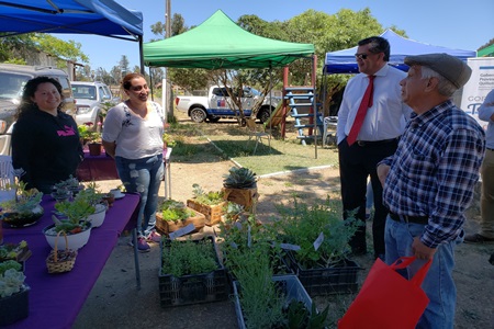 Vecinos destacan trabajo de las jornadas de Gobierno en Terreno en la provincia.