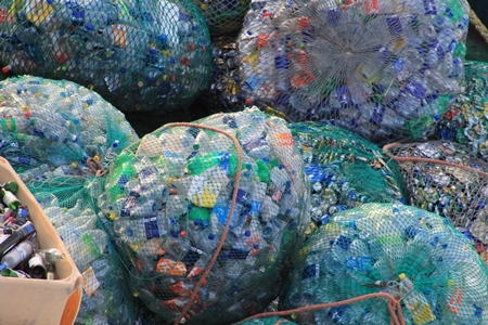 Día Mundial del Medio Ambiente  Experta llama a usar racionalmente los plásticos y a crear cultura de reciclaje.