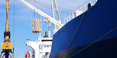 ¿Qué medidas pueden tomar los exportadores que embarcaron carga a bordo de la MSC Gayane?.