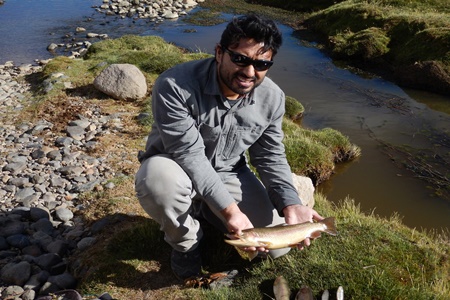 Académico UPLA investiga amenaza de truchas y salmones sobre  peces nativos.