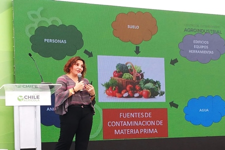 “El principal desafío de la agroindustria chilena en términos de inocuidad es la capacitación de todos los integrantes de la cadena de valor”.