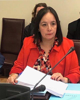 Senadora Aravena pide sensatez en votación de proyecto que rebajaría sueldos  municipales.