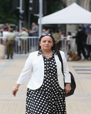 Senadores RN proponen reforma constitucional para resguardar infraestructura crítica.