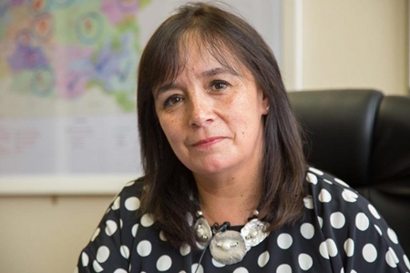 Senadora Aravena pide que rebaja de altas remuneraciones sea “sin letra chica”