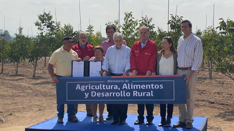 Chile como potencia alimentaria y la importancia del nuevo Ministerio.