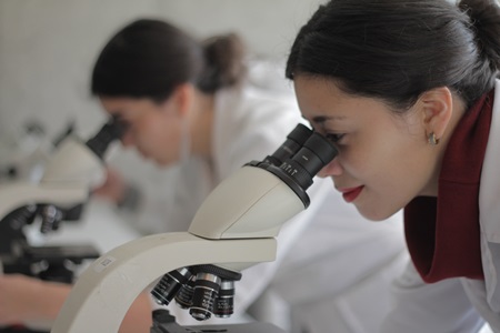 Universidad de Playa Ancha se adjudicó 4 proyectos Fondecyt Regular 2021