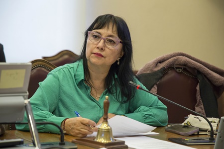 Diputada Marzán fiscaliza conflicto por acceso a vuelos para isleños de Rapa Nui