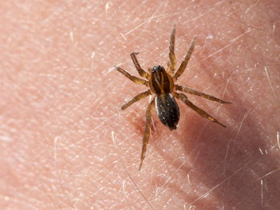araa-10-01-24.jpg