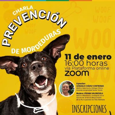 Charla de prevención de mordeduras en Villa Alemana.